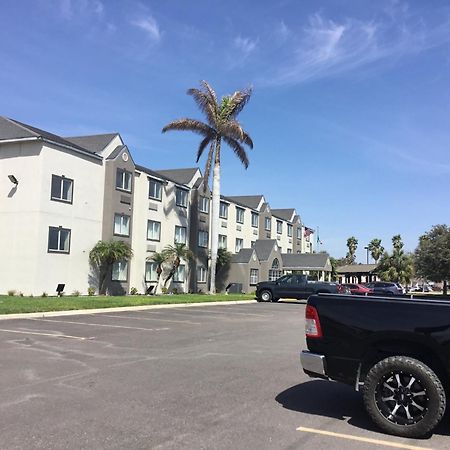 Motel 6-Mcallen, Tx - East Exterior photo